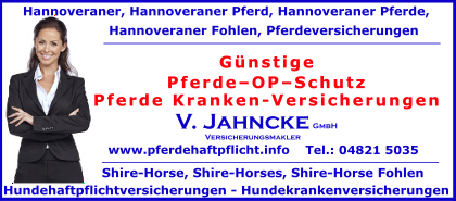Pferde-OP-Schutz